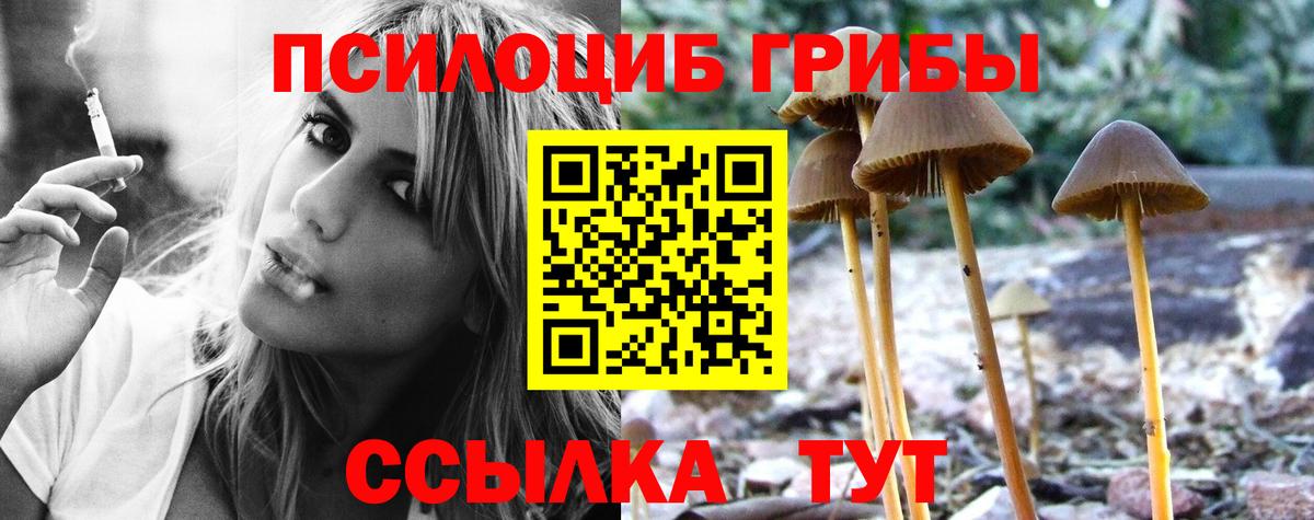 Псилоцибиновые грибы Psilocybine cubensis  Вход с VPN  продажа наркотиков  Полевской 