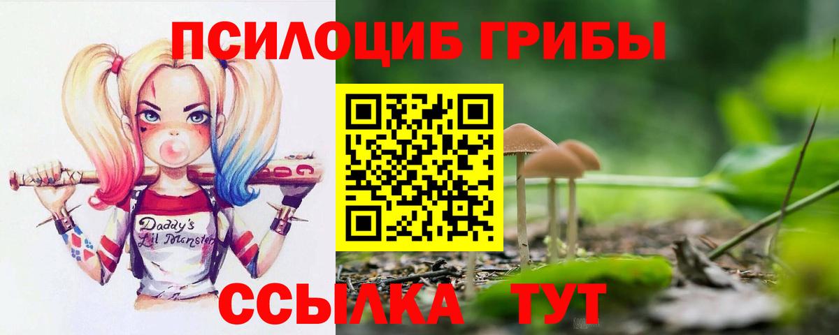 Галлюциногенные грибы Cubensis Полевской